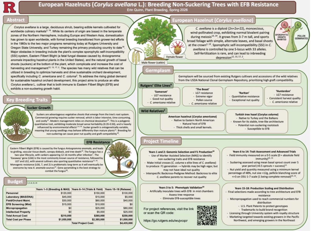 European Hazelnuts: Breeding Non-Suckering Trees with EFB Resistance