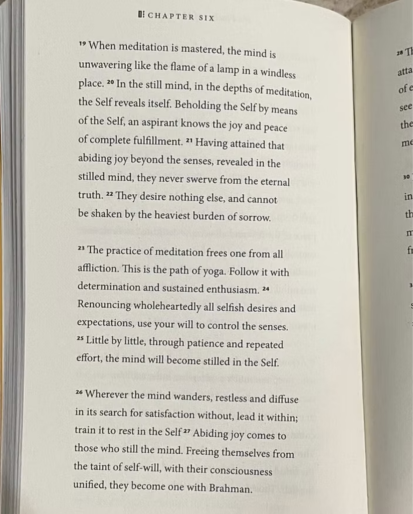 meditation in the Bhagavad Gita