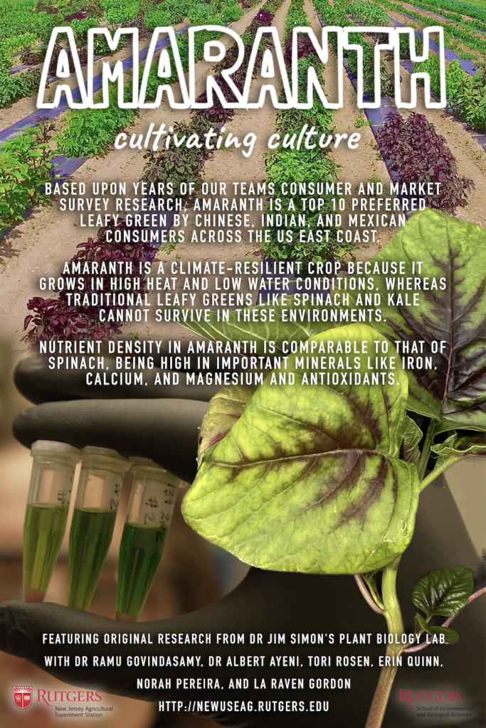 Amaranth: Cultivating Culture Science Documentary Poster by Erin Quinn