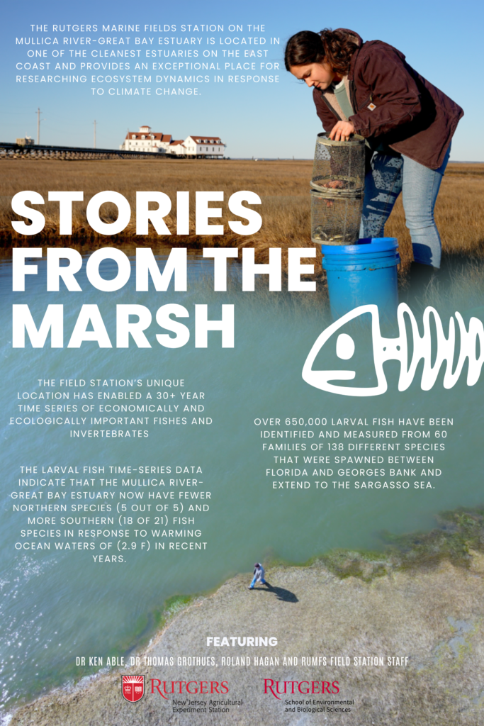"Stories from the March" Science Documentary Poster by Erin Quinn